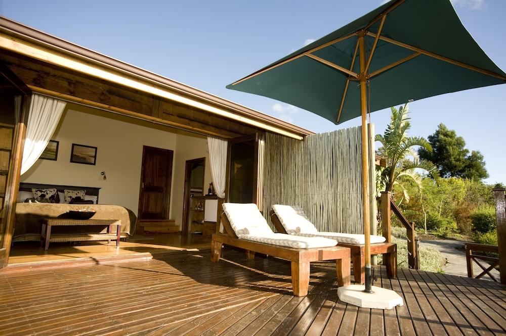 Elephant Hide Of Knysna Guest Lodge Eksteriør bilde
