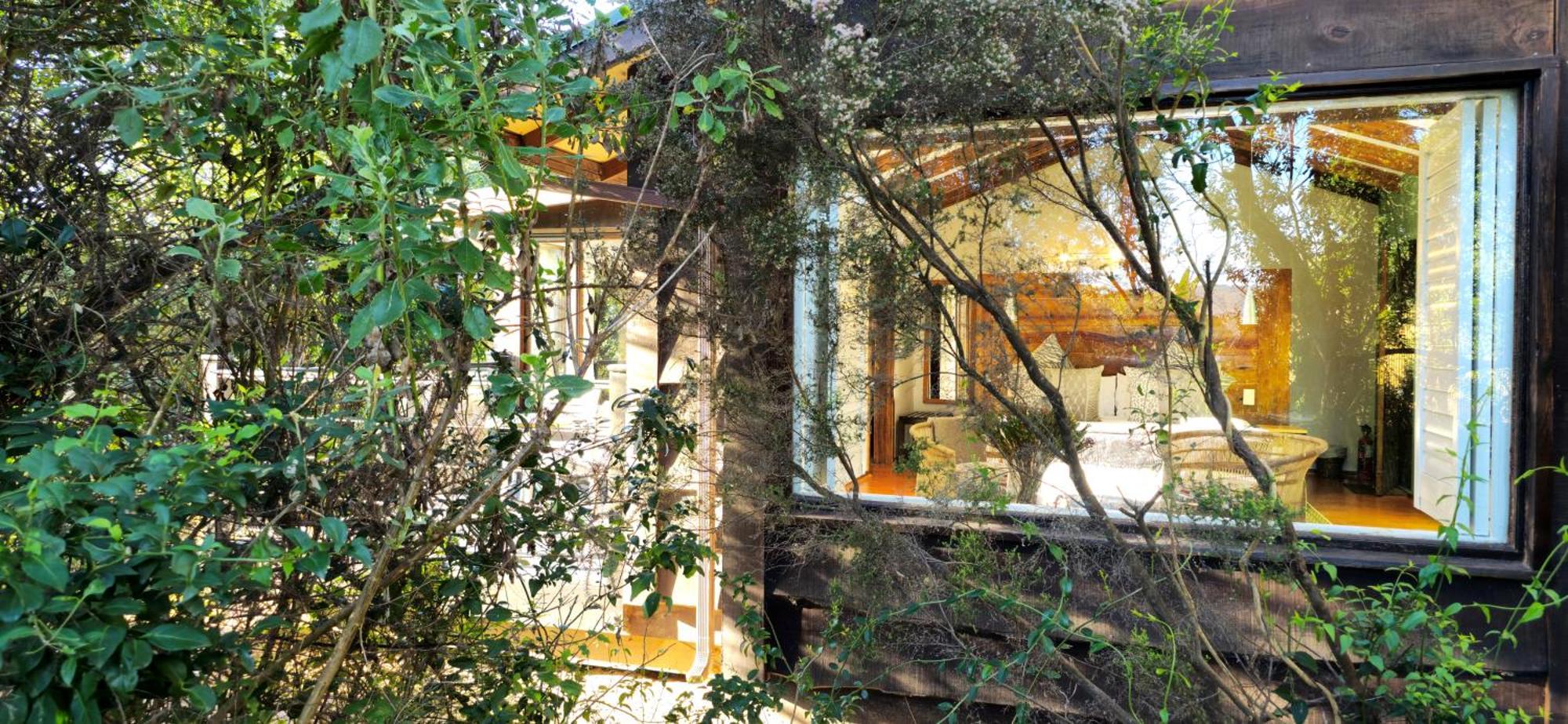 Elephant Hide Of Knysna Guest Lodge Eksteriør bilde
