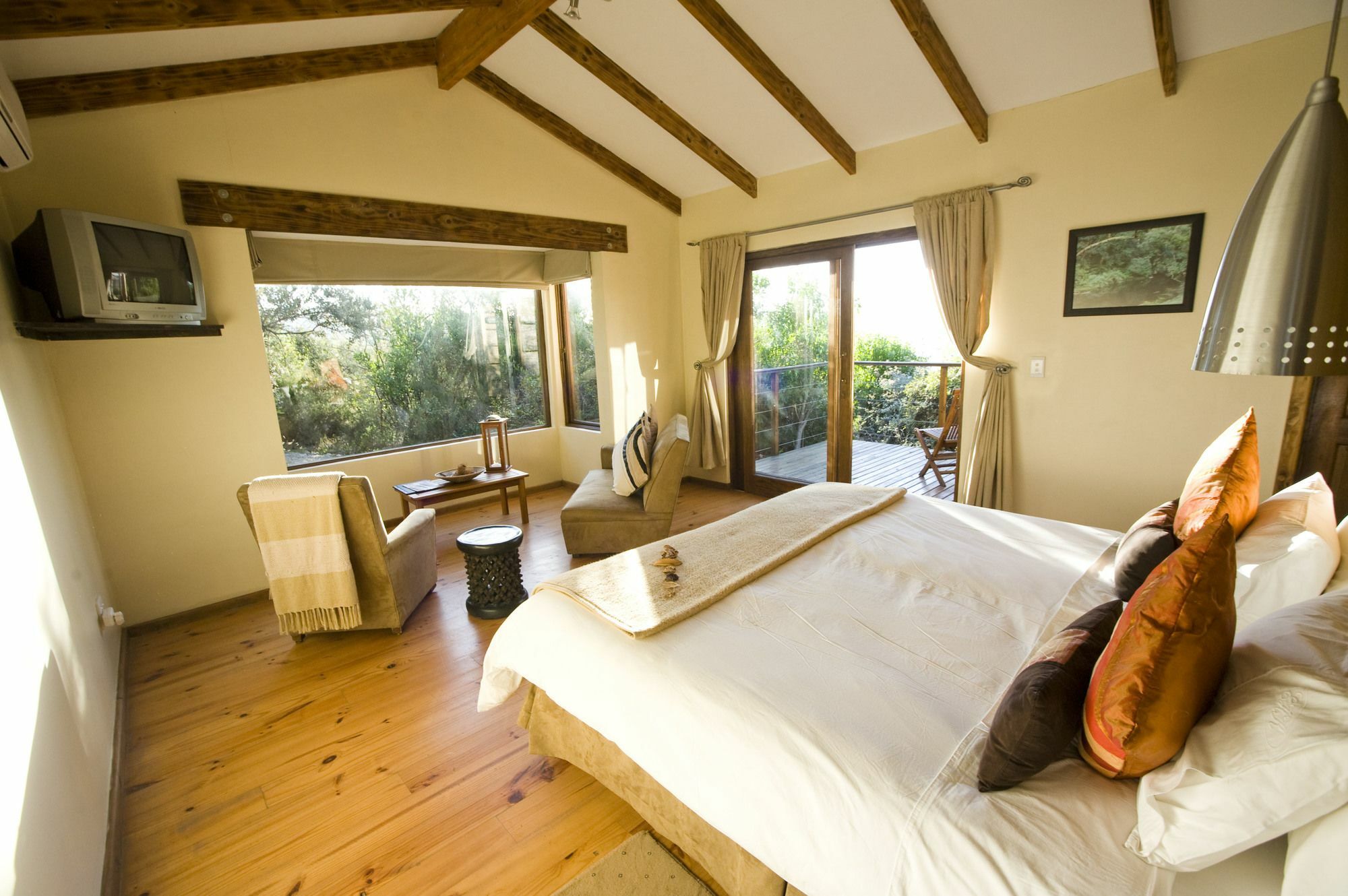 Elephant Hide Of Knysna Guest Lodge Eksteriør bilde